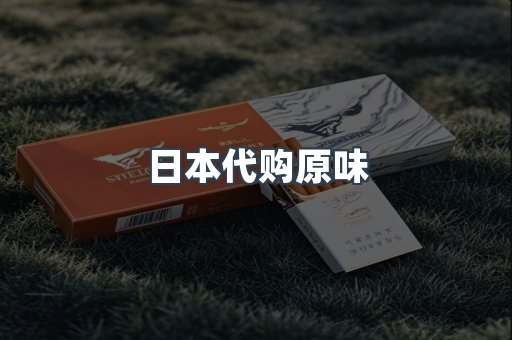 日本代购原味